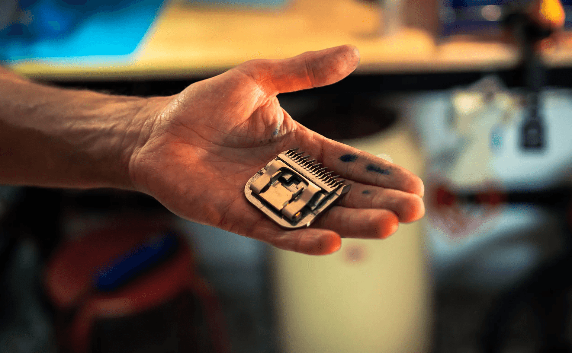 tete de coupe dans la main.png